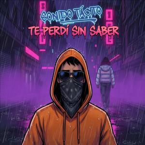 Te Perdí sin Saber