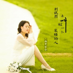 别试图去叫醒一个装睡的人