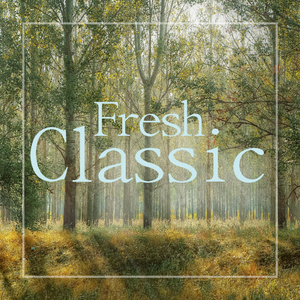 Chopin : 12 Etudes No.1 In A Flat Major Op.25 'harp Study' (쇼팽 : 12개의 연습곡 1번 내림 가장조 작품번호 25 '에올리언 하프')