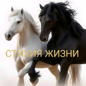 Лучше всех !