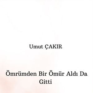 Ömrümden Bir Ömür Aldı Da Gitti