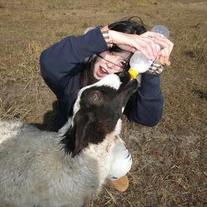 鄂伦春我永久的家园