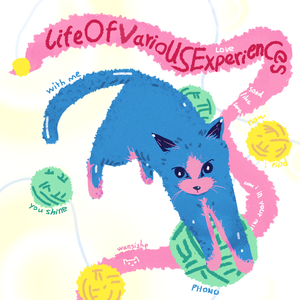 Life Of Various Experiences