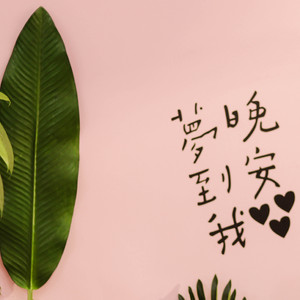 晚安，好梦，再见（Goodnight）