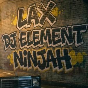 Boom Bap (feat. Ninjah & Dj Element)