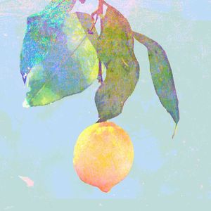 Lemon （Cover 米津玄师）