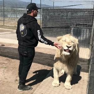 Lana Del Rey-Summertime Sadness（Музыка монарха / 浪子彦小黑 remix）