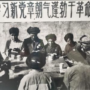 生命因你而火热（完整版）翻自新裤子（翻自 新裤子）