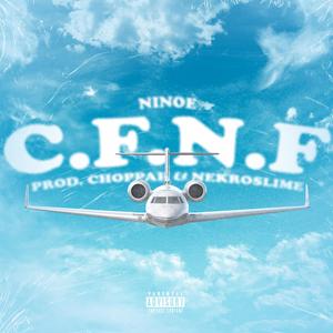 C.F.N.F (Catch Flights Not Feelings)