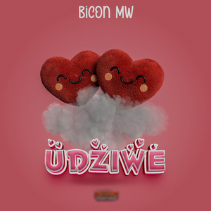 Udziwe