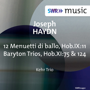 Baryton Trio No. 124 in G Major, Hob.XI:124 (arr. for violin, viola and cello): I. Moderato