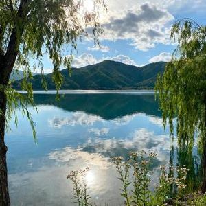 花鸦 (Cover 雾屿霓虹)