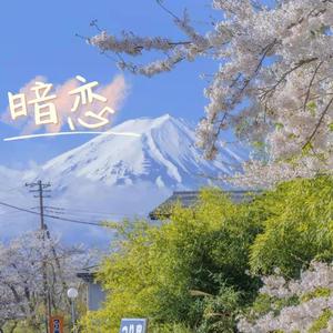 暗恋