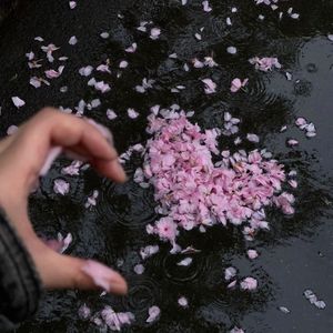 宵 夜 都 那 么 多 选 择