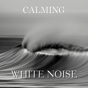 Pure White Noise