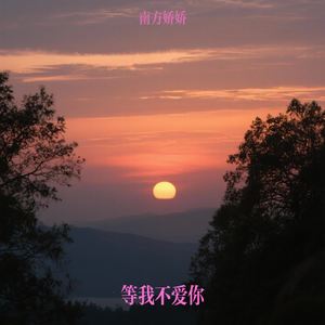 等我不爱你