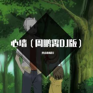心墙（抖音最火DJ版）