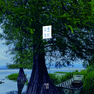 悲欣交集1一场红尘一场梦原创钢琴曲| 风中的秋千 (阿尔法脑波|催眠曲五分钟入睡|宇宙全息 3 D 音效)