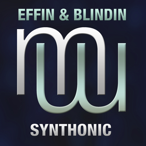 Synthonic (Original Mix)