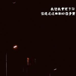 我想我会忘了你