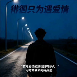 徘徊只为遇爱情 (改编 remix）