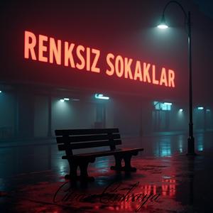 Renksiz sokaklar