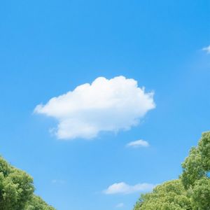 山径幽深鸟声远