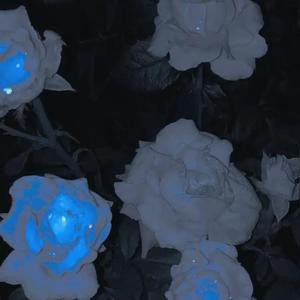 听完这首就睡吧