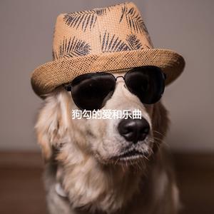 Latin Guitar Soundtrack for Repose Future