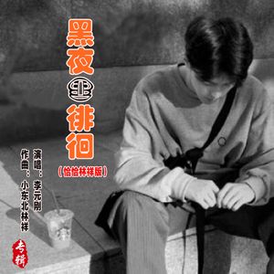 黑夜里徘徊（恰恰林祥版）