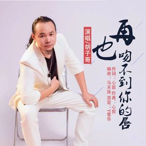 再也吻不到你的唇