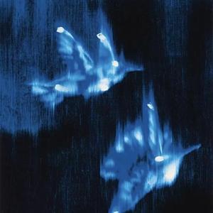 复件(0) 无病呻吟