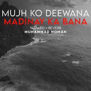 Mujh Ko Deewana Madinay Ka Bana Lofi