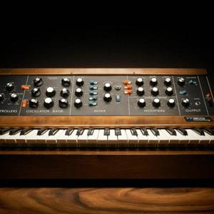 딴딴무그를 꿈꾸는 가상현악기