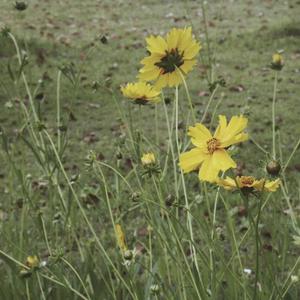 已过之事，便如昨梦，何故常存在心，郁结成病？