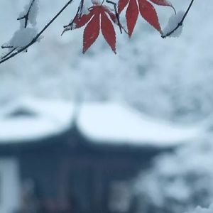 【FREE】“ 雁落玦 ” - Drill×中国风 Type Beat