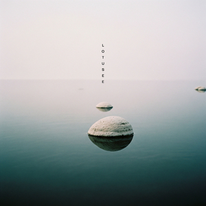 Uncluttered Self