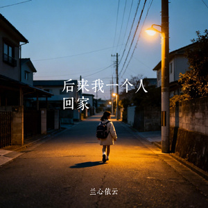 后来我一个人回家
