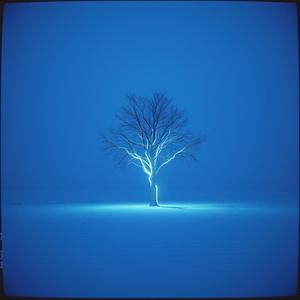 当原野的风拥抱我