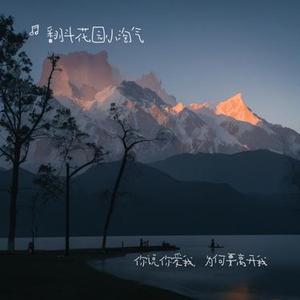 你说你爱我，为何要离开我