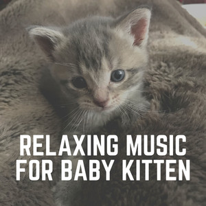Soothing Melodies to Calm Your Cat, Pt. 29