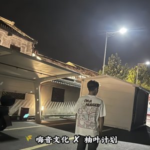 迷幻东南亚男唱