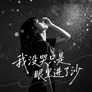我没哭只是眼里进了沙