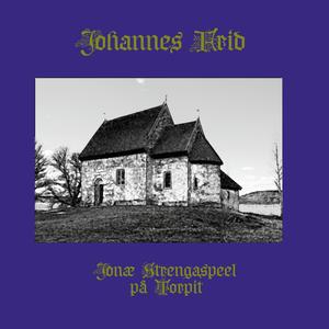 Fålen han springer på himmelsblå isen