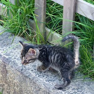 旧唱片与旧时光-笛悠郎