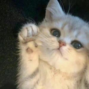 香水有毒DJ(cover)