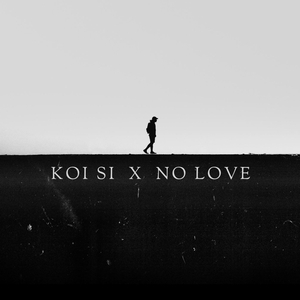 Koi Si X No Love