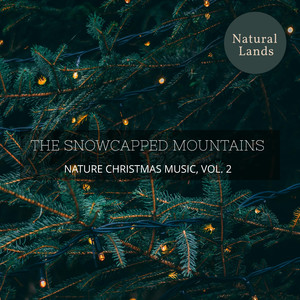 Romantic Wind Soft Rain