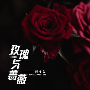 玫瑰与蔷薇 (DJ阿卓版)