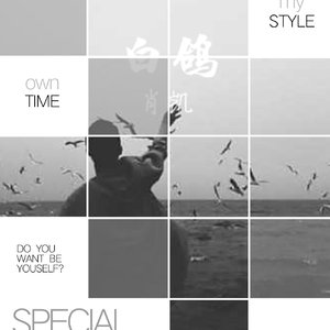 白鸽
